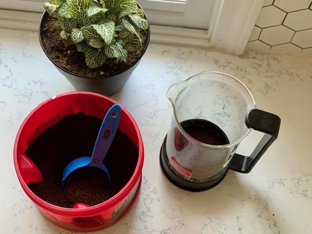 Coffee 2.jpg